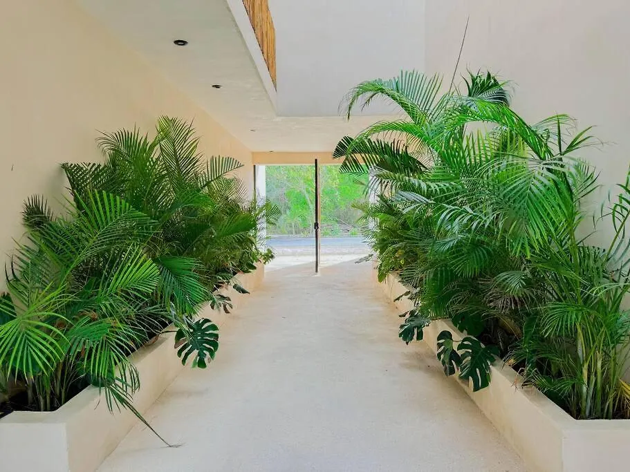 Apartment Increible Y Acogedor Estudio-Agata 4 By Sandy Powerful Tulum